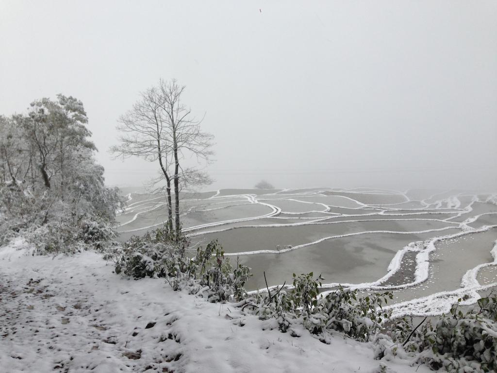 Flowers Residence 元陽県 エクステリア 写真
